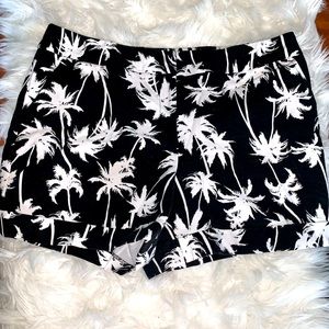APT 9 Black and White Palm Tree Shorts